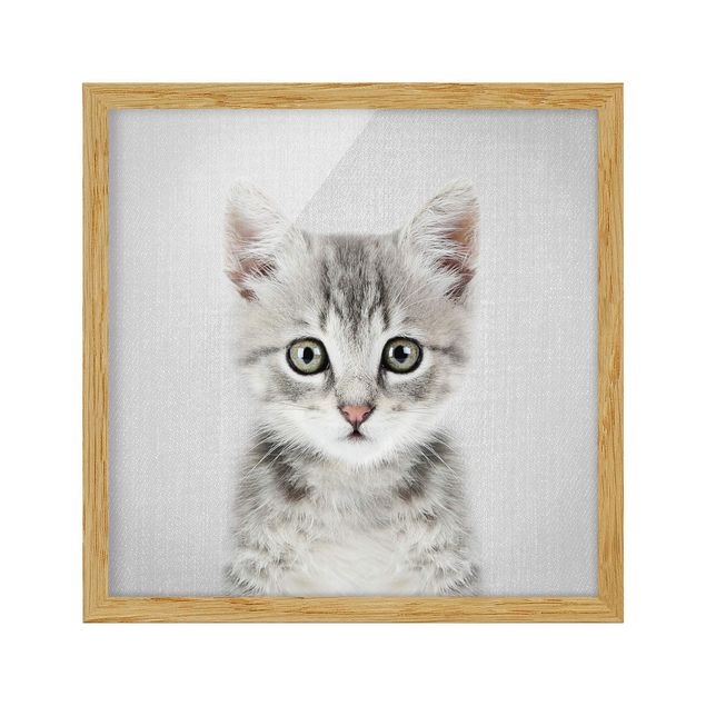 Bild mit Rahmen - Baby Katze Killi - Quadrat - 1:1