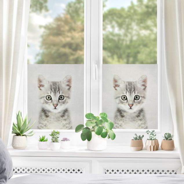 XXL Fensterbilder Baby Katze Killi