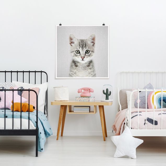 Poster Schwarz-Weiß Baby Katze Killi