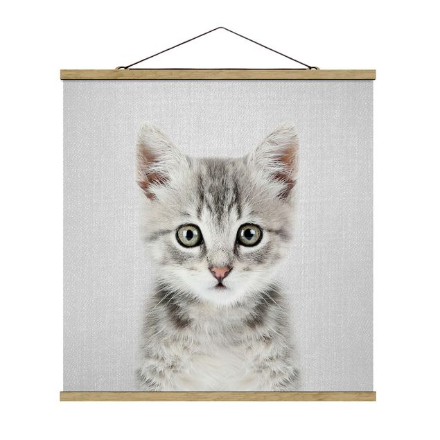 Poster Tiere Baby Katze Killi