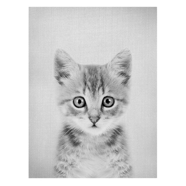 Wandbilder Tiere Baby Katze Killi Schwarz Weiß
