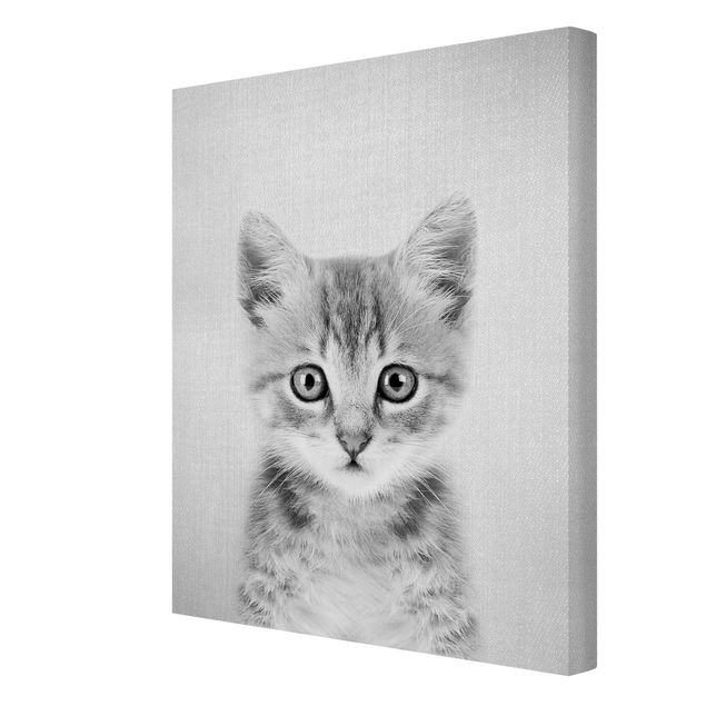 Wandbilder Wohnzimmer modern Baby Katze Killi Schwarz Weiß