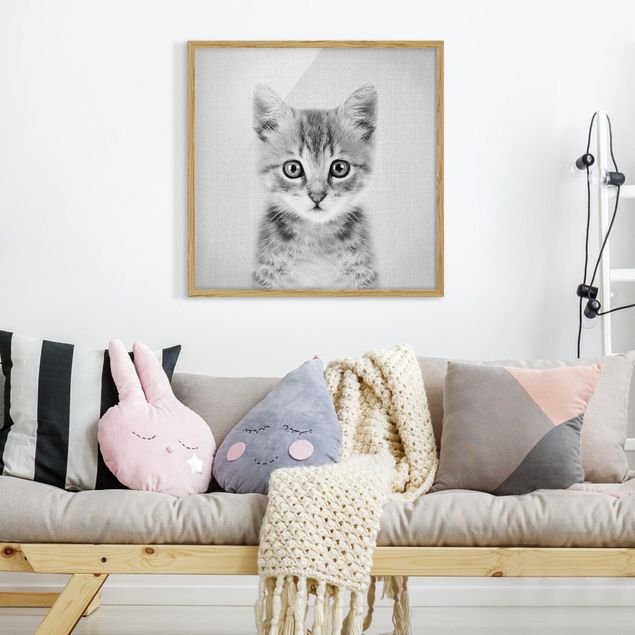 Bilder mit Rahmen Baby Katze Killi Schwarz Weiß