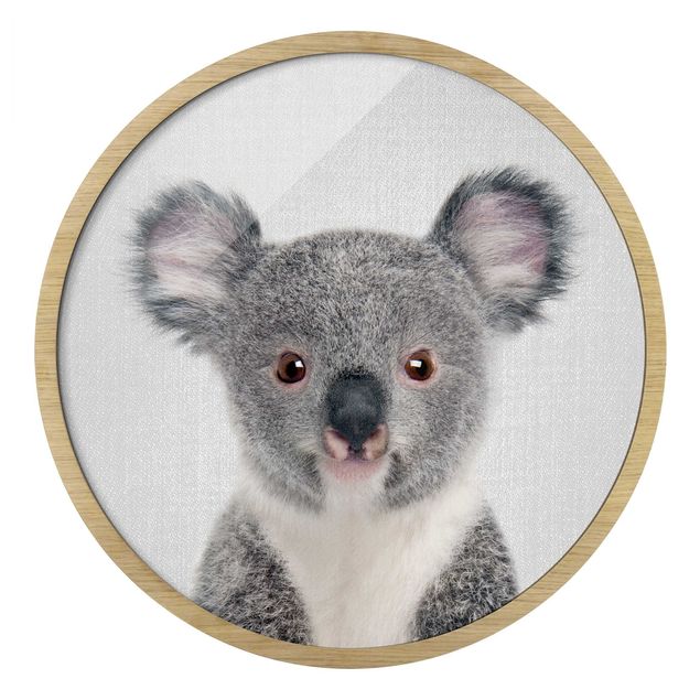 Bilder mit Rahmen Baby Koala Klara