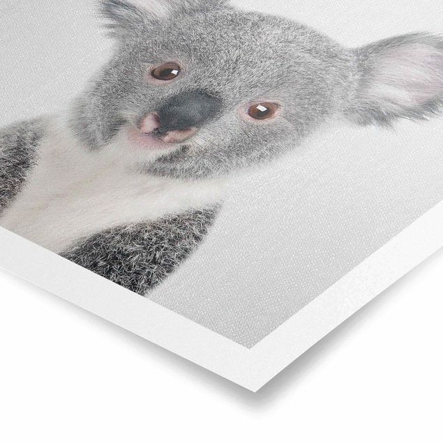 Wandbilder Baby Koala Klara