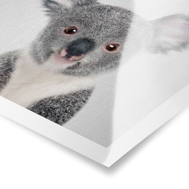 Poster Baby Koala Klara