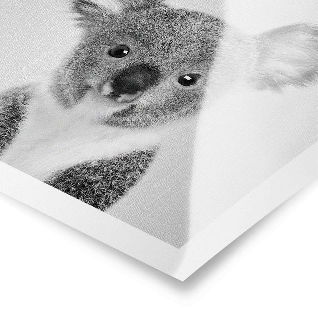 Poster bestellen Baby Koala Klara Schwarz Weiß