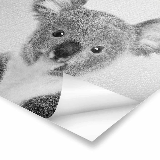 Poster - Baby Koala Klara Schwarz Weiß - Quadrat 1:1