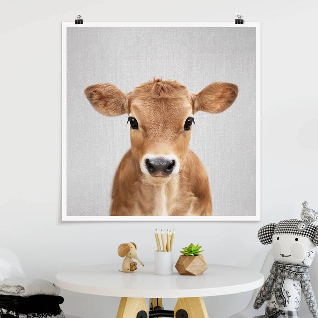 Wandbilder Tiere Baby Kuh Kira