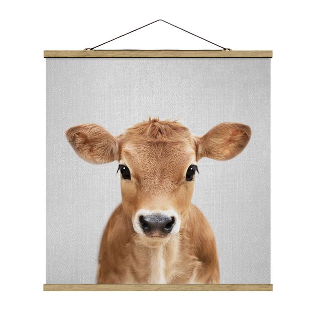 Tiere Poster Baby Kuh Kira