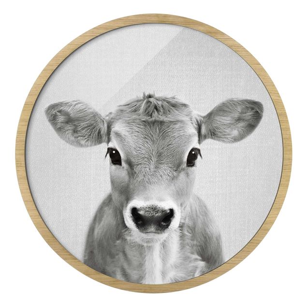 Gerahmte Bilder Baby Kuh Kira Schwarz Weiß