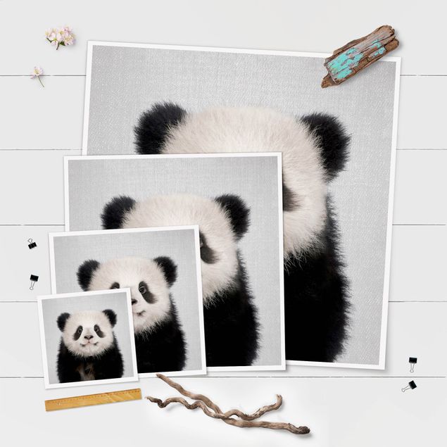 Poster - Baby Panda Prian - Quadrat 1:1