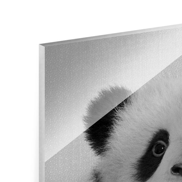 Glasbilder Baby Panda Prian Schwarz Weiß