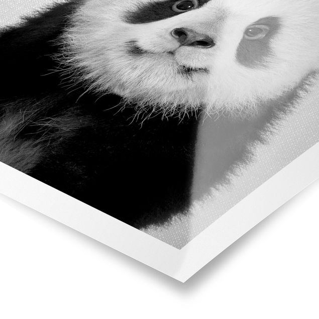 Poster Baby Panda Prian Schwarz Weiß