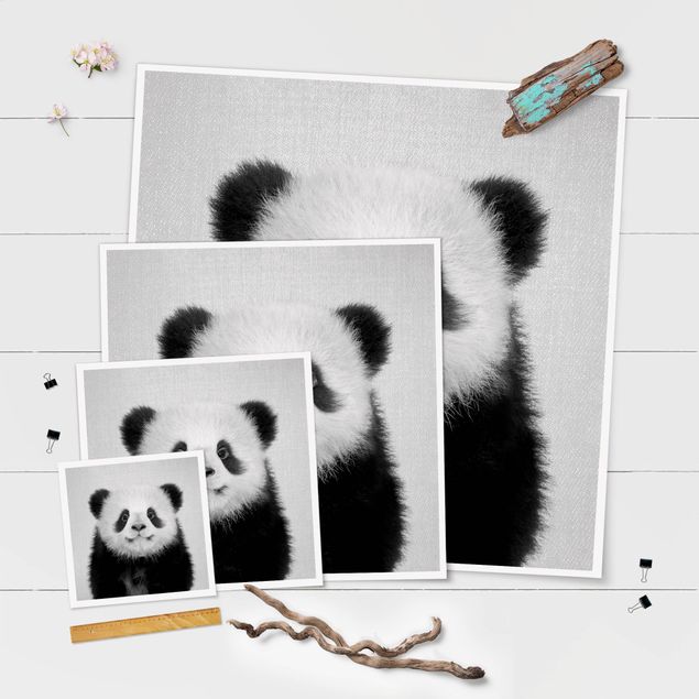 Poster - Baby Panda Prian Schwarz Weiß - Quadrat 1:1