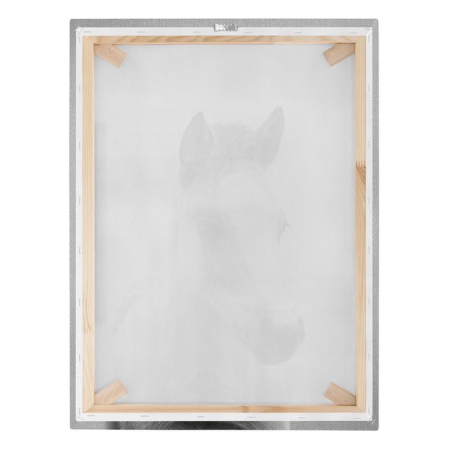 Schöne Wandbilder Baby Pferd Philipp Schwarz Weiß