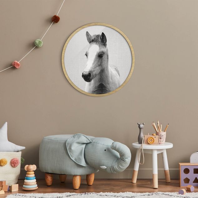 Wandbilder Tiere Baby Pferd Philipp Schwarz Weiß