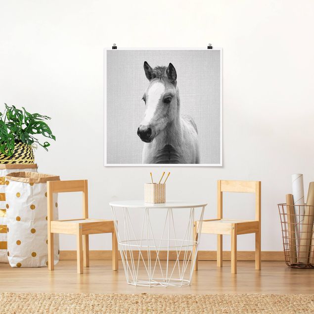 Poster Kinderzimmer Tiere Baby Pferd Philipp Schwarz Weiß