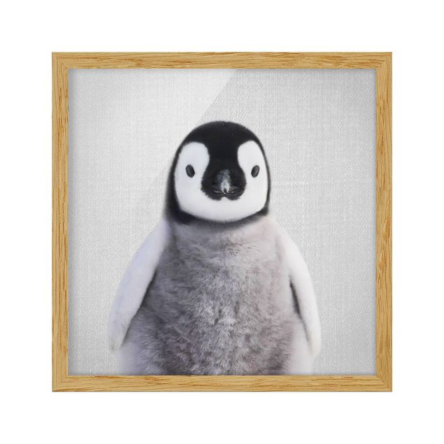 Bild mit Rahmen - Baby Pinguin Pepe - Quadrat - 1:1