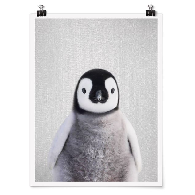 Tiere Poster Baby Pinguin Pepe