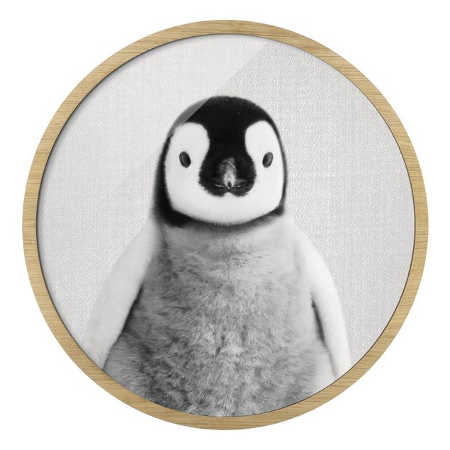 Bilder mit Rahmen Baby Pinguin Pepe Schwarz Weiß