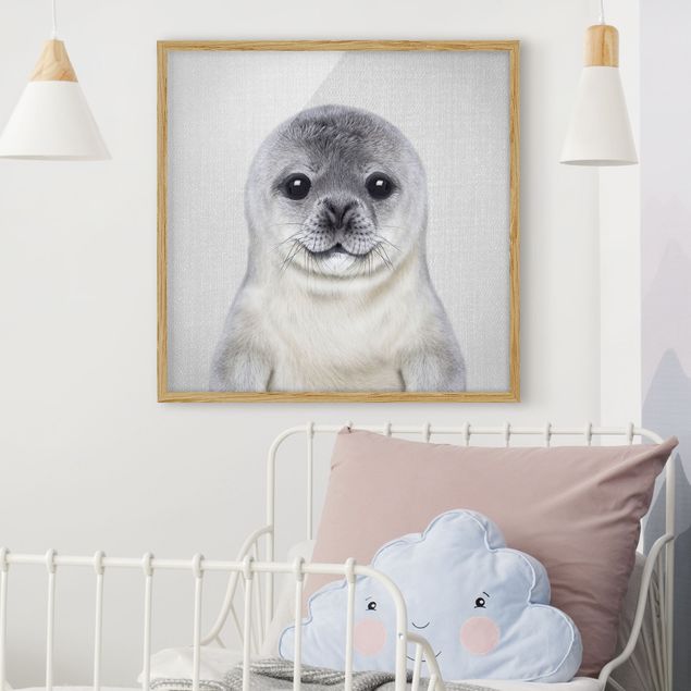 Wandbilder Tiere Baby Robbe Ronny