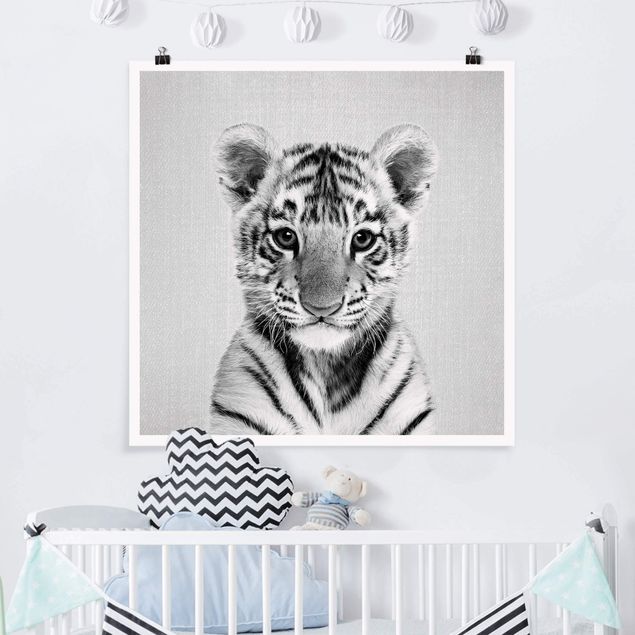 Wandbilder Tiere Baby Tiger Thor Schwarz Weiß