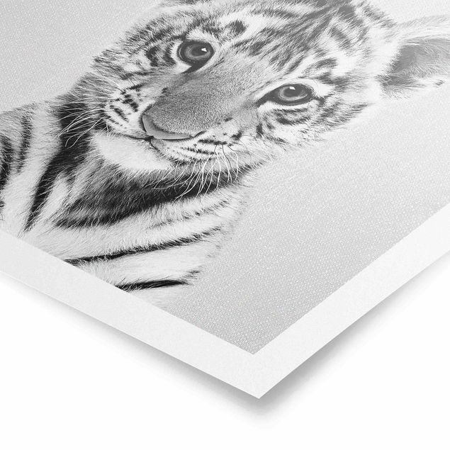 Schöne Wandbilder Baby Tiger Thor Schwarz Weiß