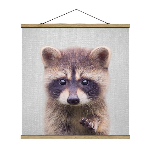 Poster Tiere Baby Waschbär Wicky