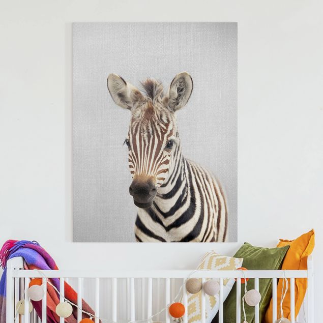 Wandbilder XXL Baby Zebra Zoey
