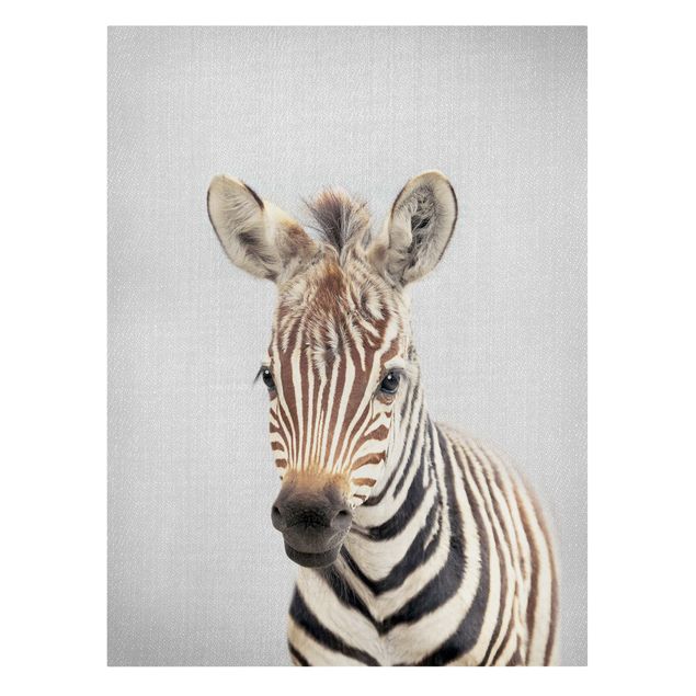 Wandbilder Tiere Baby Zebra Zoey