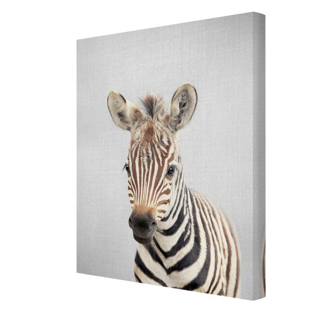 Wandbilder Wohnzimmer modern Baby Zebra Zoey