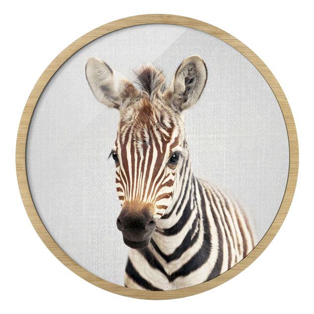 Bilder mit Rahmen Baby Zebra Zoey