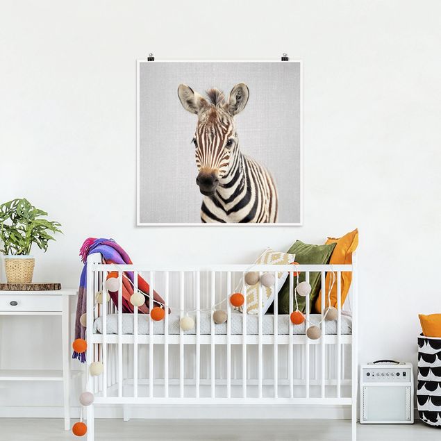 Poster Kinderzimmer Tiere Baby Zebra Zoey