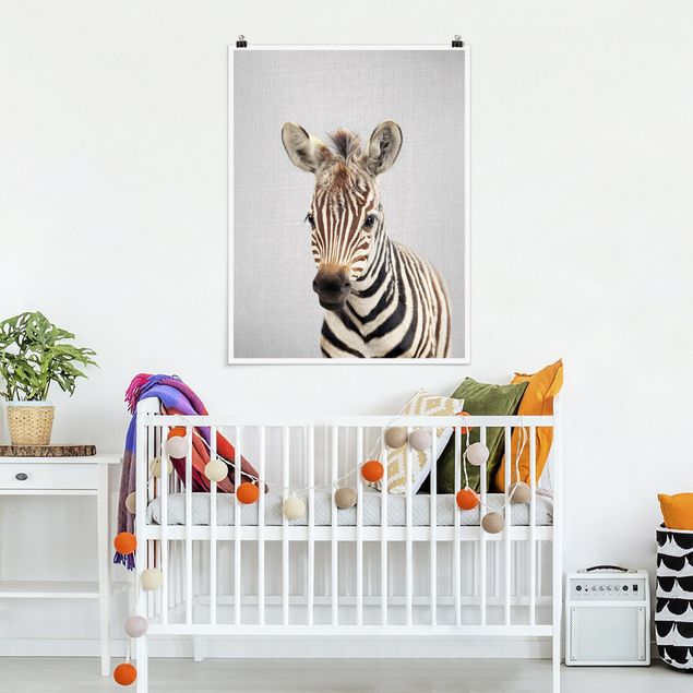 Poster Kinderzimmer Tiere Baby Zebra Zoey