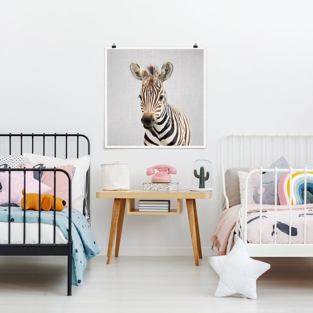 Poster Schwarz-Weiß Baby Zebra Zoey