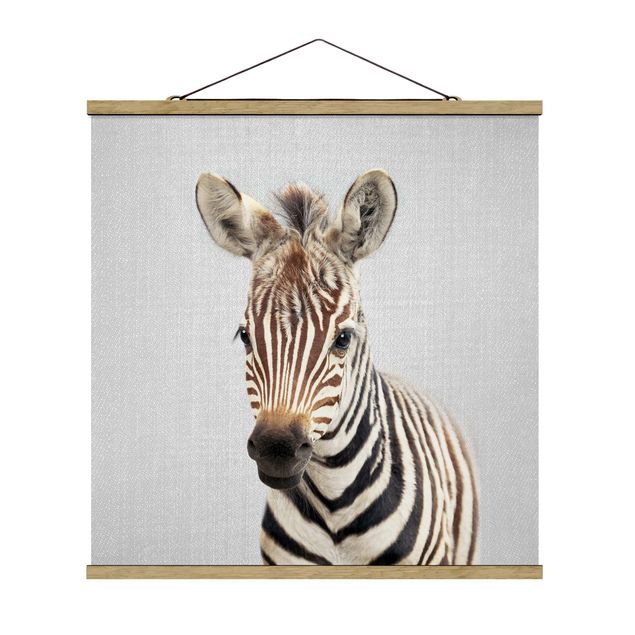 Poster Tiere Baby Zebra Zoey