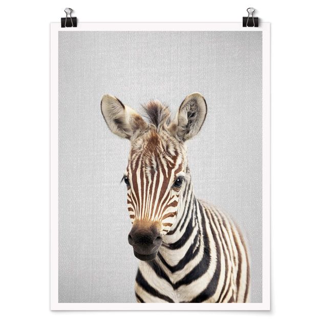 Poster Tiere Baby Zebra Zoey