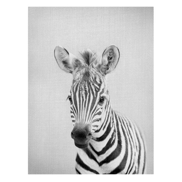 Leinwandbilder Tier Baby Zebra Zoey Schwarz Weiß