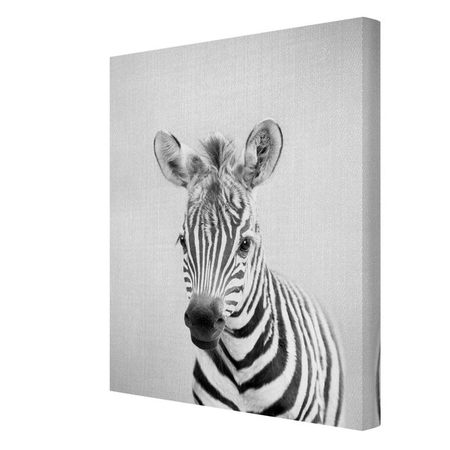 Leinwandbilder Wohnzimmer modern Baby Zebra Zoey Schwarz Weiß