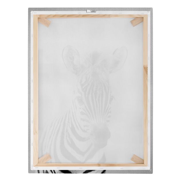 Schöne Wandbilder Baby Zebra Zoey Schwarz Weiß
