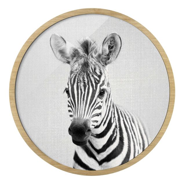 Gerahmte Bilder Baby Zebra Zoey Schwarz Weiß