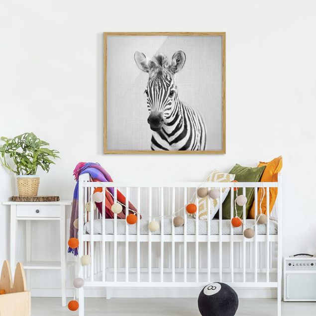 Bilder mit Rahmen Baby Zebra Zoey Schwarz Weiß