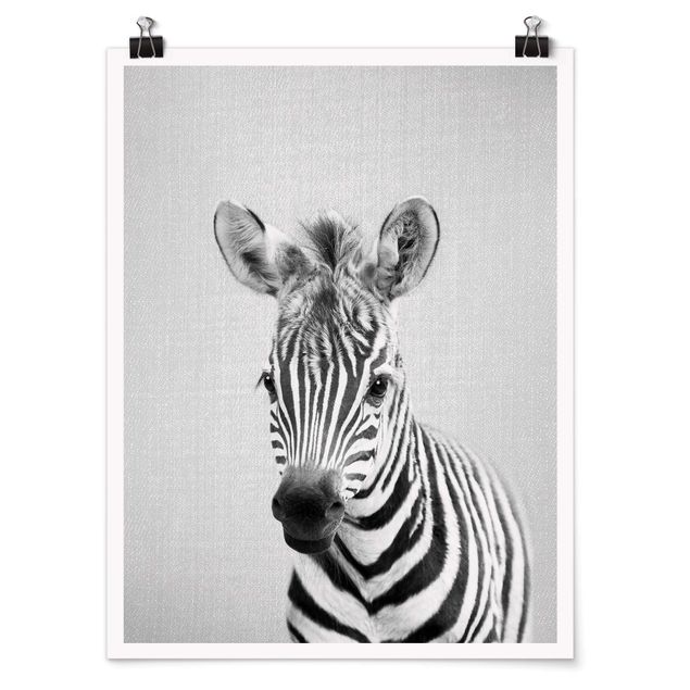 Tiere Poster Baby Zebra Zoey Schwarz Weiß