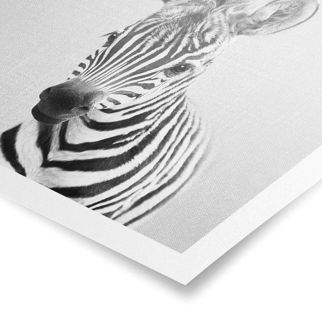 Bilder für die Wand Baby Zebra Zoey Schwarz Weiß