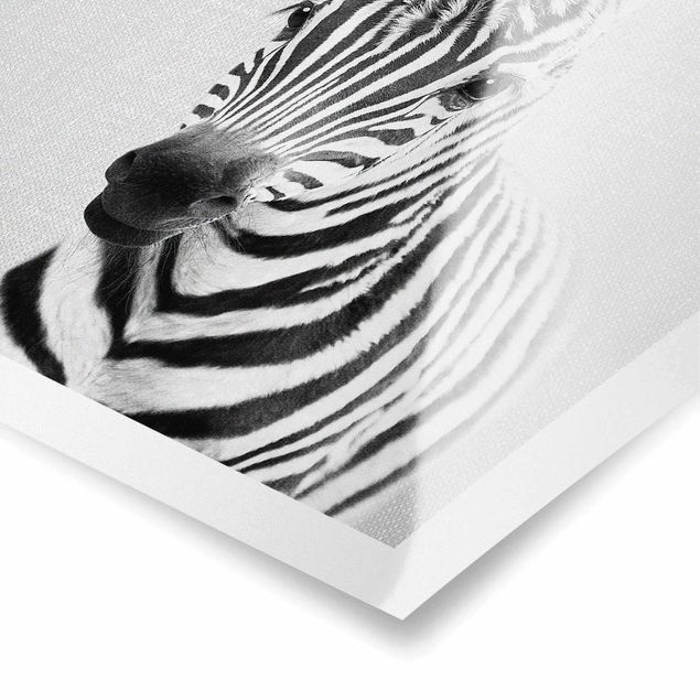 Poster bestellen Baby Zebra Zoey Schwarz Weiß