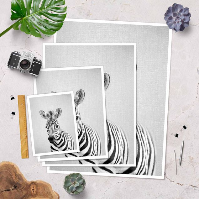 Poster - Baby Zebra Zoey Schwarz Weiß - Hochformat 3:4