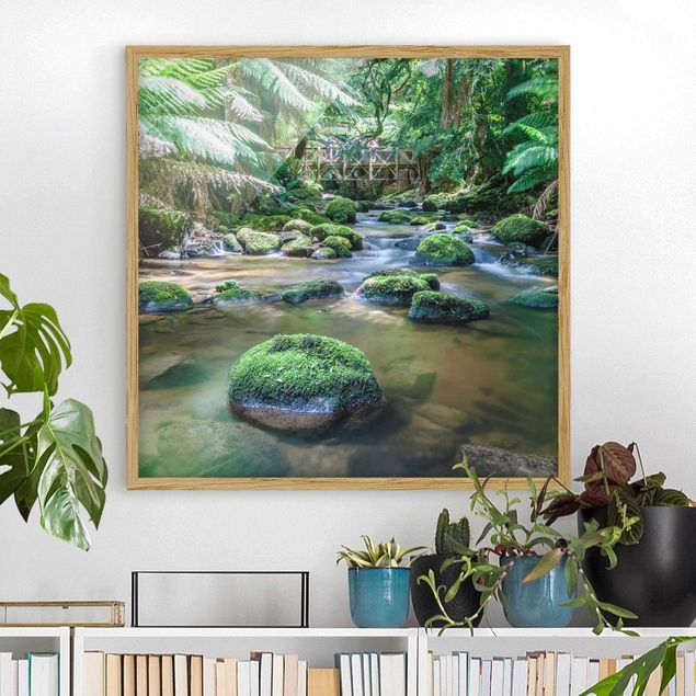 Landschaftsbilder mit Rahmen Bach im Dschungel