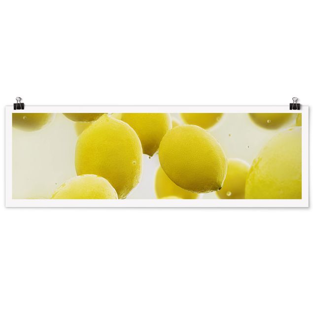 Poster - Zitronen im Wasser - Panorama Querformat