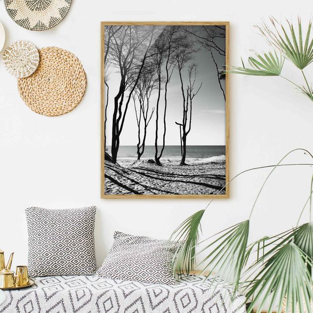 Landschaftsbilder mit Rahmen Bäume an der Ostsee